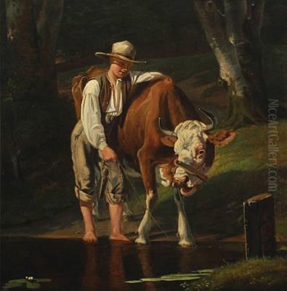 A Cow Being Watered - view 1