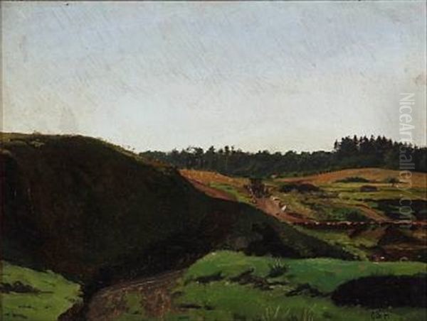 Hilly Summer Landscape - view 1
