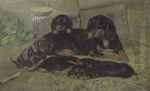 Gravhund Med Sine Hvalpe Gravhund Med Sine Hvalpe