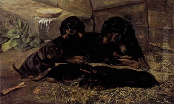 Gravhund Med Sine Hvalpe - view 1