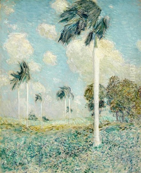 Royal Palms, Melena, Cuba - view 1