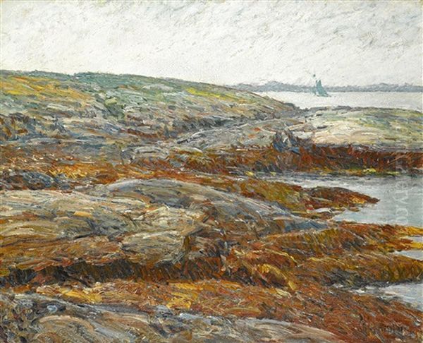 Land's End, Coast Of Maine - view 1