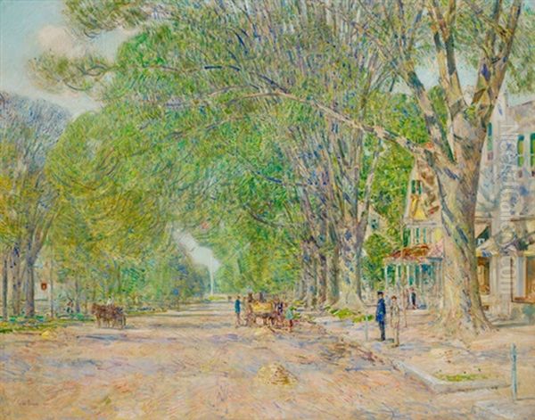 The East Hampton Elms In May - view 1
