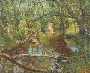 Sunlight Brook