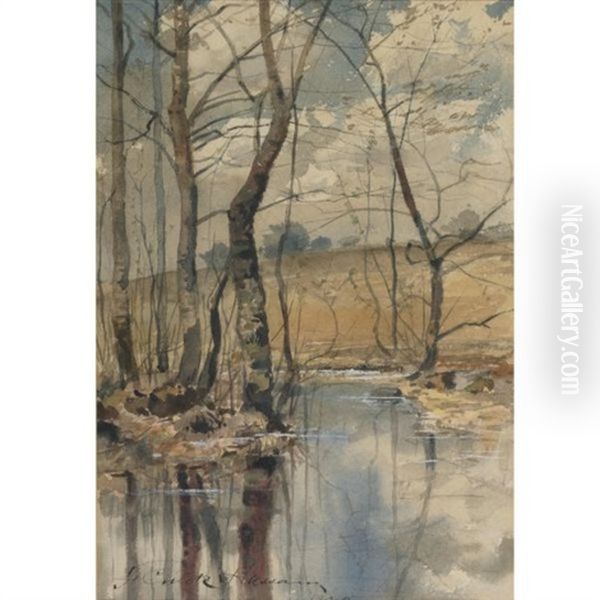 Woodland Pond - view 1