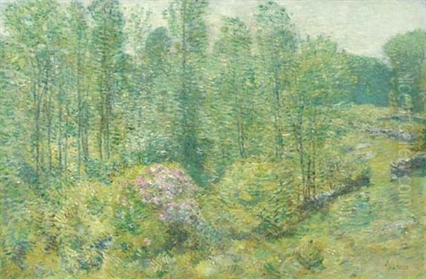 Spring Landscape - view 1