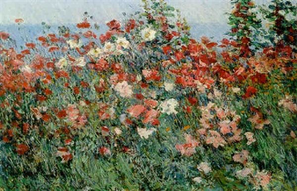 Poppies In A Field - view 1
