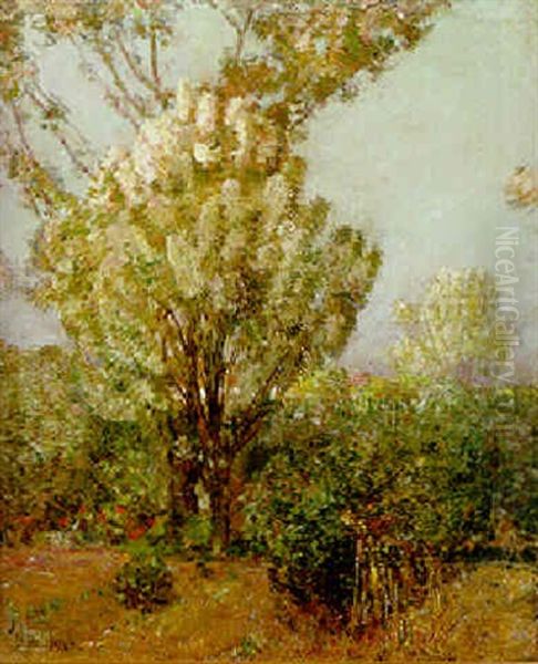 Spring: Flowering Trees - view 1