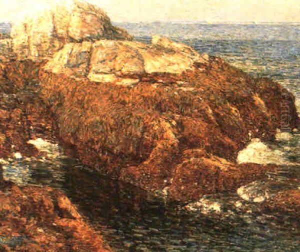Kelp-covered Rocks, Isle Of Shoals - view 1
