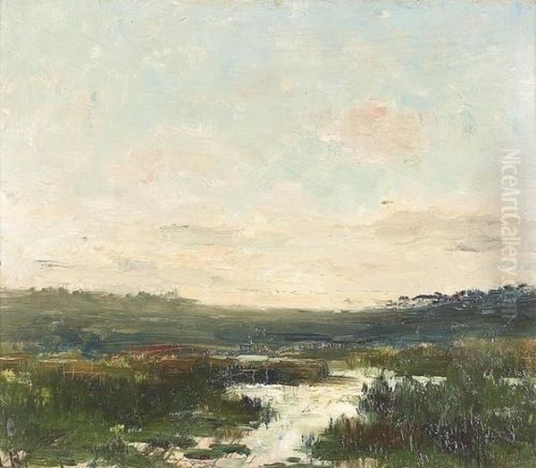 Sommerliche Moorlandschaft. - view 1