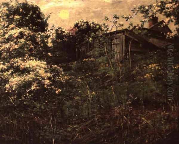 Pink Apple Blossoms In The Moonlight - view 1