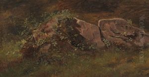 Naturstudie by Johann Heinrich Hasselhorst
