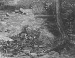 Bachlauf Mit Steinigem Bewachsenen Ufer