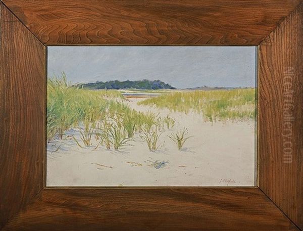 Beach Grasses - view 1
