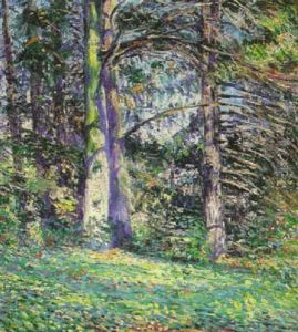 Sunlit Forest Sunlit Forest