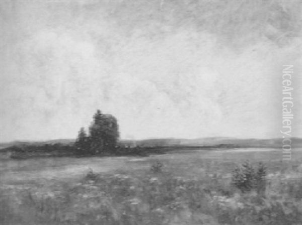 Fields Of Gold - view 1