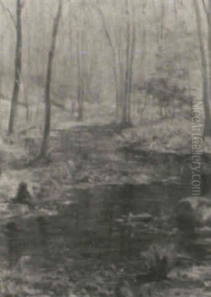 Forest Interior - view 1