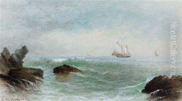 Schooner - view 1