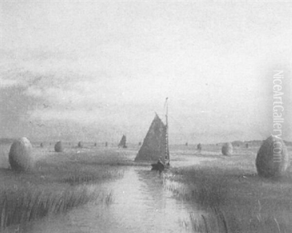 Maine Marshes - view 1