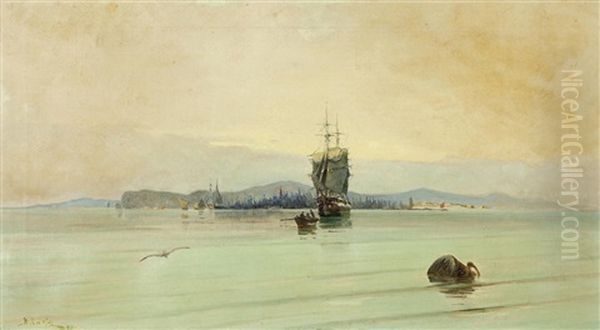 In Calm Waters - view 1