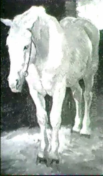 Stehenes Pferd - view 1