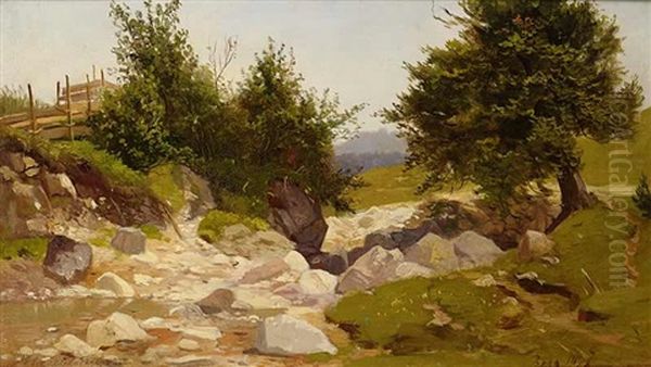 A Rocky Brook - view 1