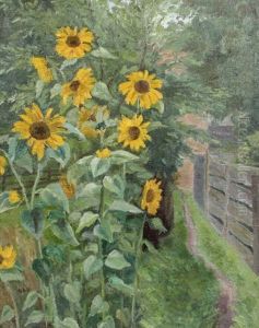 Sonnenblumen Im Garten by Albert Haueisen