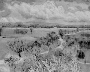 Landschaft In Der Pfalz
