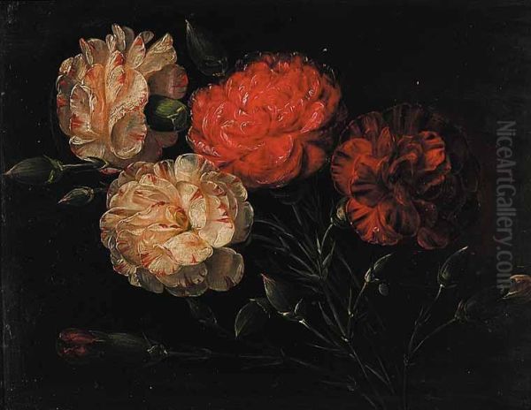 Red And Whiteflowers - view 1