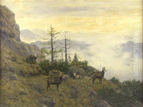 Gebirgslandschaft Mit Gemsen - view 1