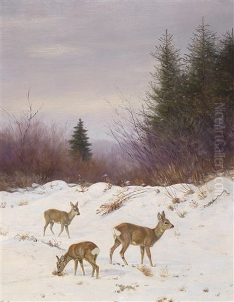 Rehe Im Winterwald - view 1