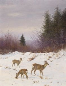 Rehe Im Winterwald Rehe Im Winterwald