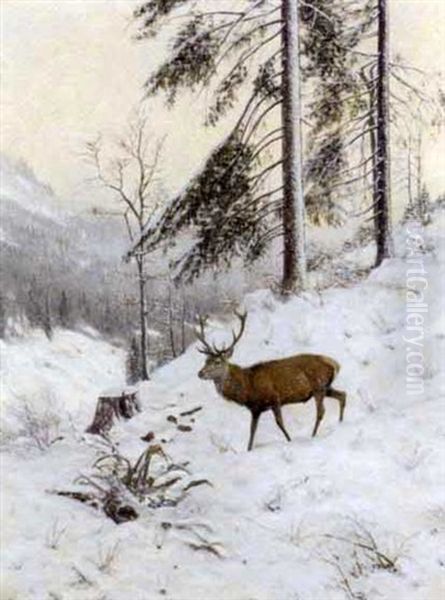A Stag In A Winter Forest - view 1