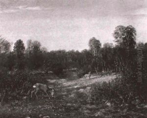 Rehe Auf Waldlichtung