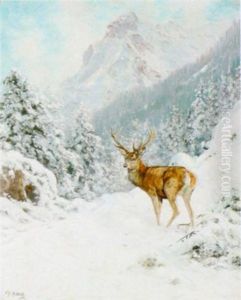 Hirsch In Verschneiter Landschaft Hirsch In Verschneiter Landschaft