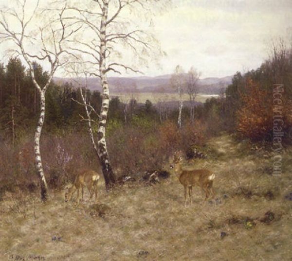 Efterarslandskab Med Radyr - view 1