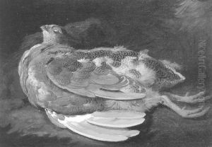 Lord Powis's Grouse, Still Life Of A Dead Grouse by Moses Haughton