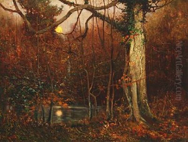 A Forest Scene - view 1