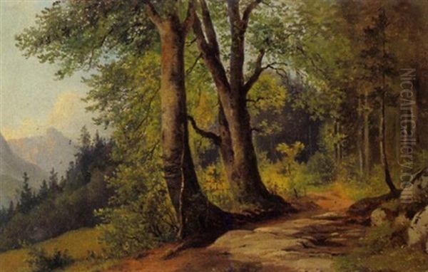 Landschaft In Niederosterreich - view 1
