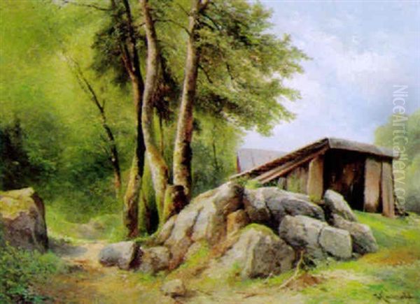 Waldlandschaft - view 1