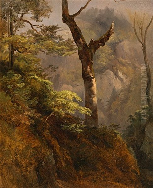 Study Of A Tree - view 1