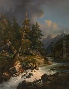 Hochgebirgslandschaft Mit Tosendem Wildbach Und Malerischem Lichteinfall