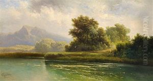 Auf Der Herreninsel Am Chiemsee