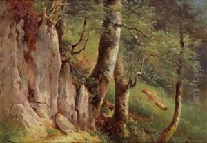 Waldlandschaft
