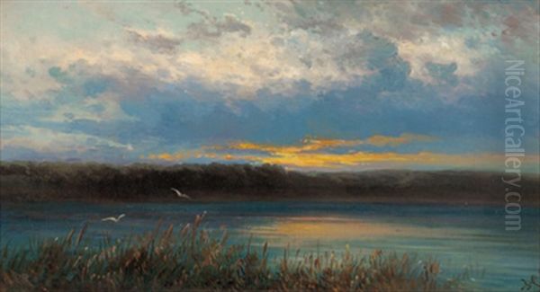 Naturstudie Von Deutsch Altenburg A. D. Donau, Niederosterreich - view 1