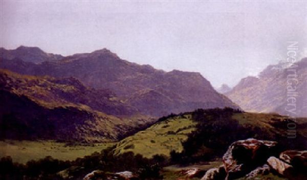 Sommerliche Gebirgslandschaft - view 1