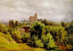 Blick Auf Niederosterreichisches Kirchdorf