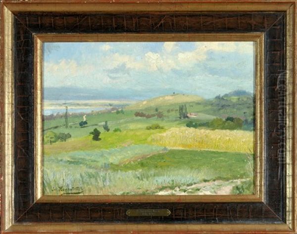 Sommerliche Hugellandschaft Mit See - view 1