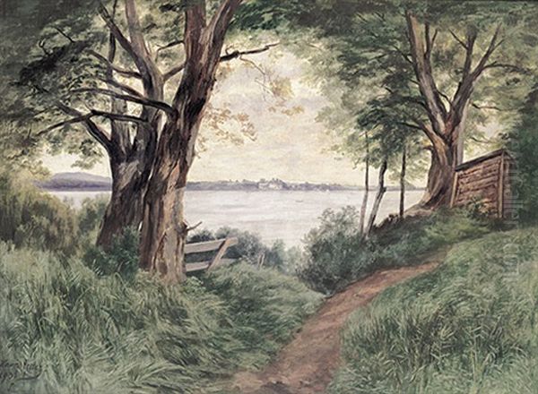 Motiv Bei Feldwiesen Am Chiemsee - view 1