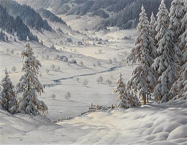 Wintertag Im Menzenschwandertal - view 1